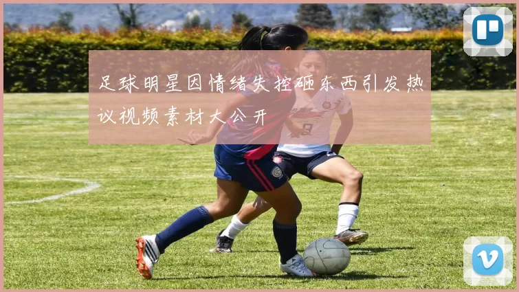 足球明星因情绪失控砸东西引发热议视频素材大公开
