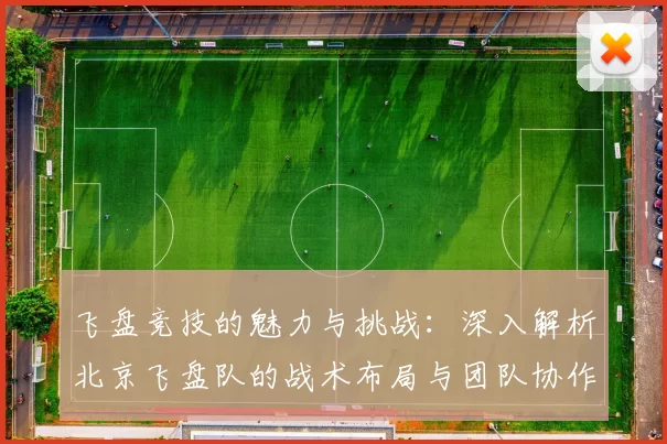 飞盘竞技的魅力与挑战：深入解析北京飞盘队的战术布局与团队协作