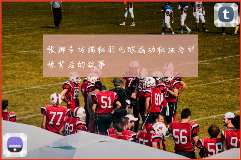 张娜专访揭秘羽毛球成功秘诀与训练背后的故事