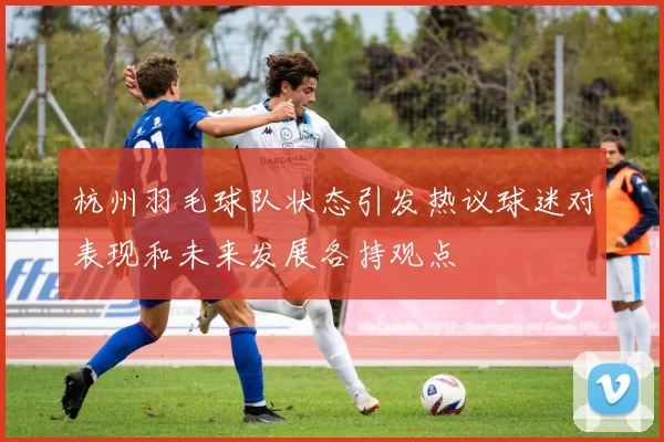 杭州羽毛球队状态引发热议球迷对表现和未来发展各持观点