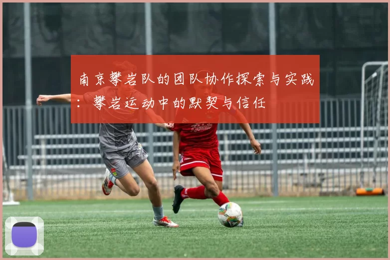 南京攀岩队的团队协作探索与实践：攀岩运动中的默契与信任