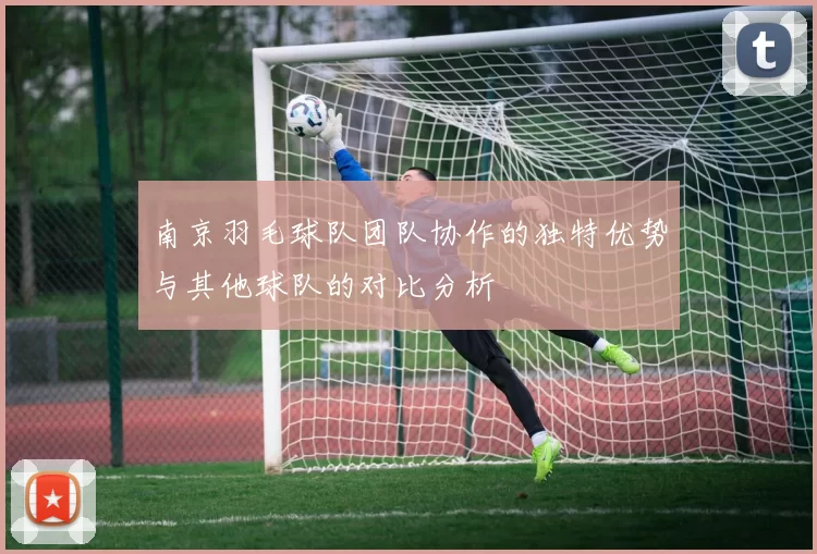 南京羽毛球队团队协作的独特优势与其他球队的对比分析