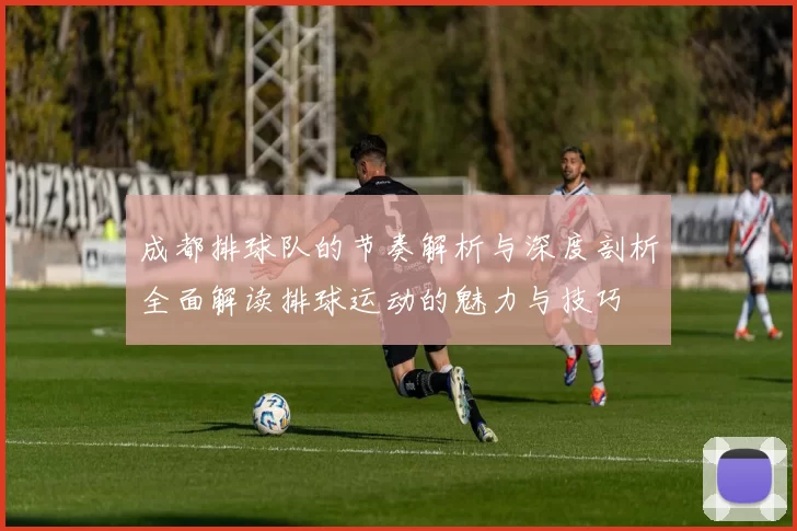 成都排球队的节奏解析与深度剖析全面解读排球运动的魅力与技巧