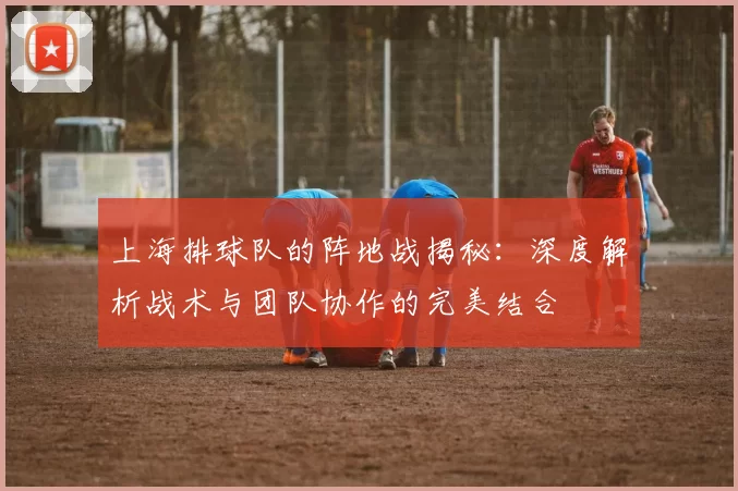 上海排球队的阵地战揭秘：深度解析战术与团队协作的完美结合