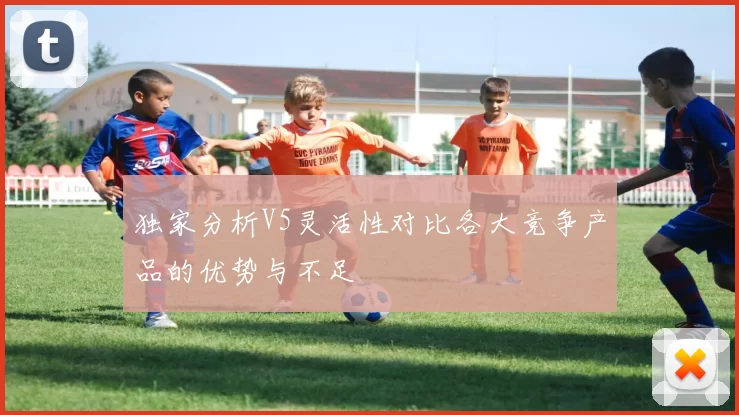独家分析V5灵活性对比各大竞争产品的优势与不足