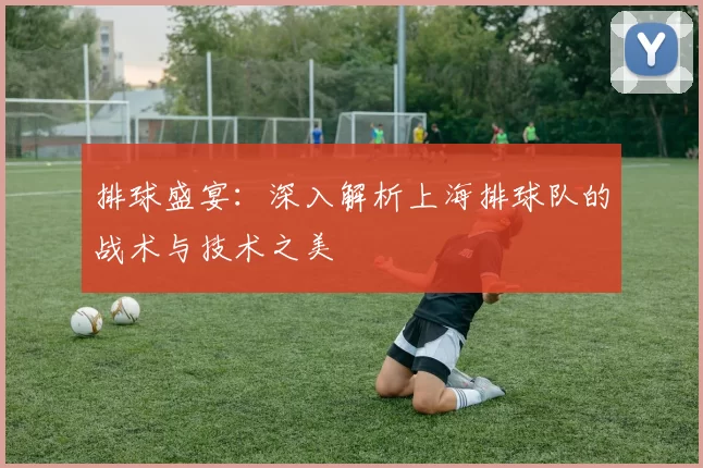 排球盛宴：深入解析上海排球队的战术与技术之美