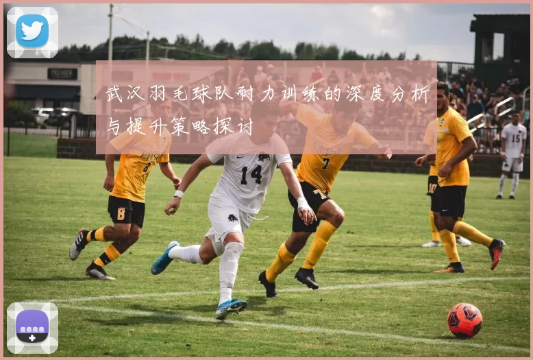 武汉羽毛球队耐力训练的深度分析与提升策略探讨