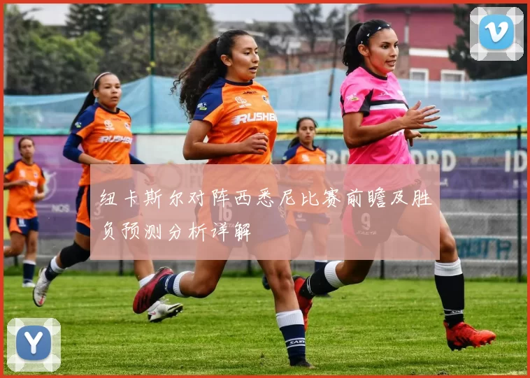 纽卡斯尔对阵西悉尼比赛前瞻及胜负预测分析详解