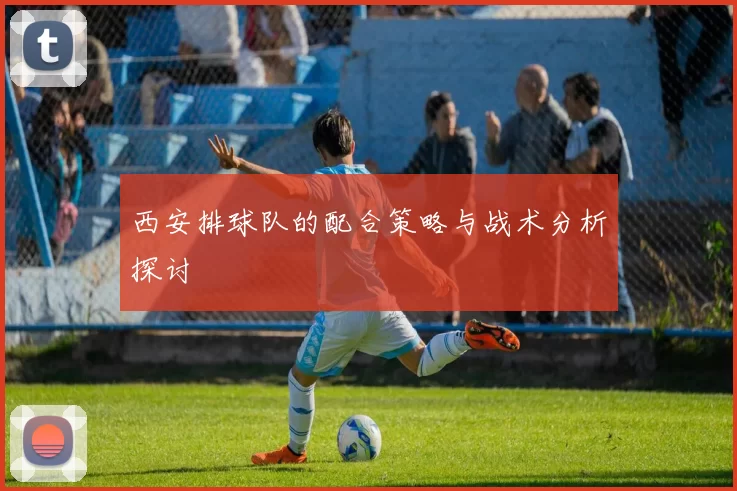 西安排球队的配合策略与战术分析探讨