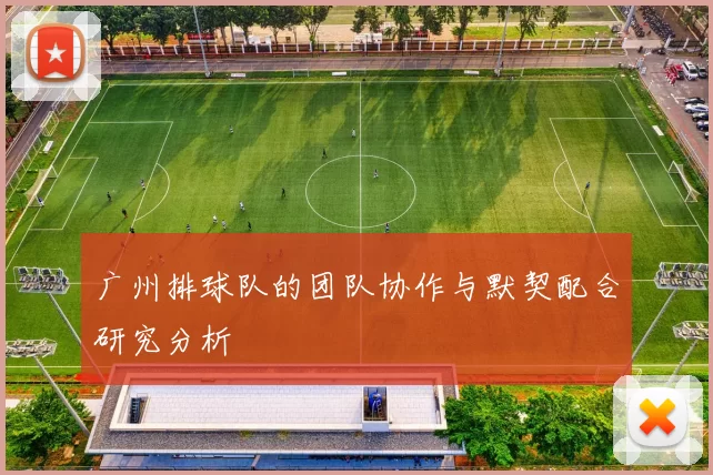 广州排球队的团队协作与默契配合研究分析