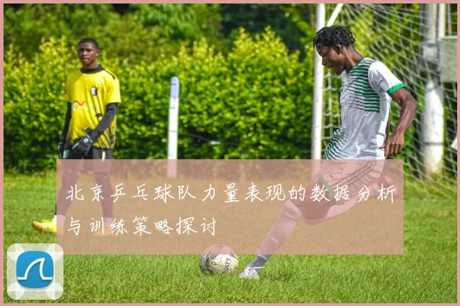 北京乒乓球队力量表现的数据分析与训练策略探讨