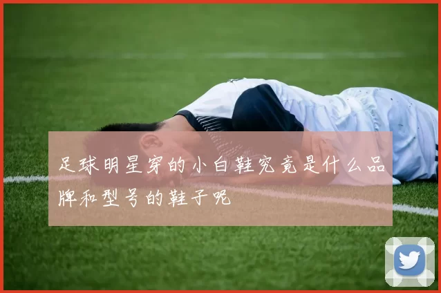 足球明星穿的小白鞋究竟是什么品牌和型号的鞋子呢