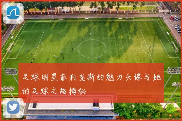 足球明星菲利克斯的魅力头像与她的足球之路揭秘