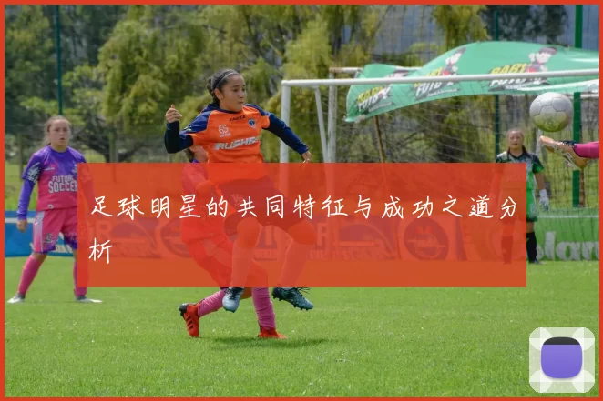 足球明星的共同特征与成功之道分析