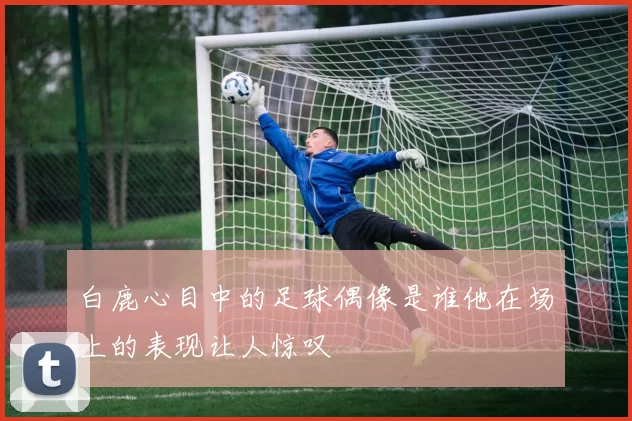 白鹿心目中的足球偶像是谁他在场上的表现让人惊叹