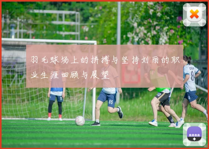 羽毛球场上的拼搏与坚持刘丽的职业生涯回顾与展望