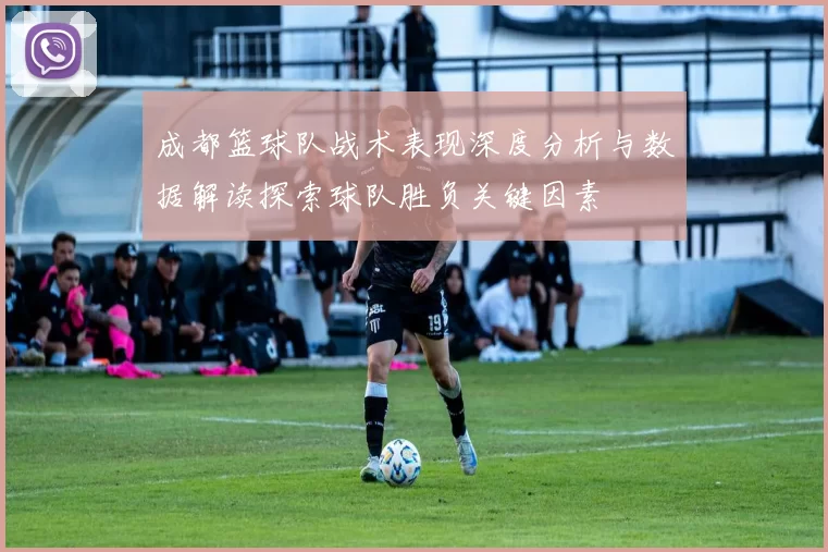 成都篮球队战术表现深度分析与数据解读探索球队胜负关键因素