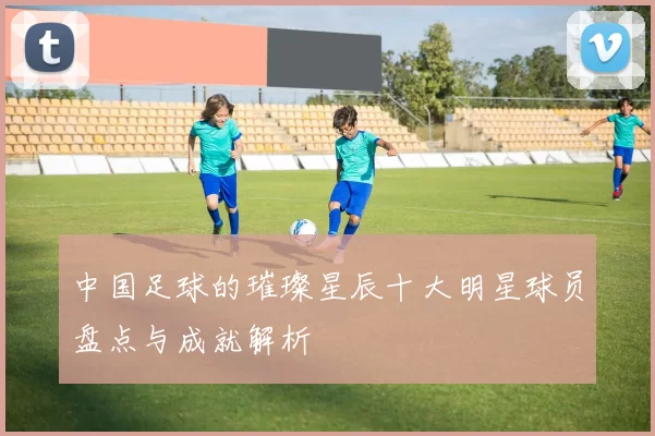 中国足球的璀璨星辰十大明星球员盘点与成就解析