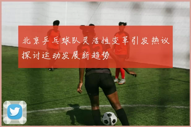 北京乒乓球队灵活性变革引发热议探讨运动发展新趋势