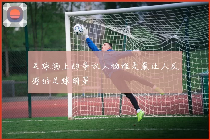 足球场上的争议人物谁是最让人反感的足球明星