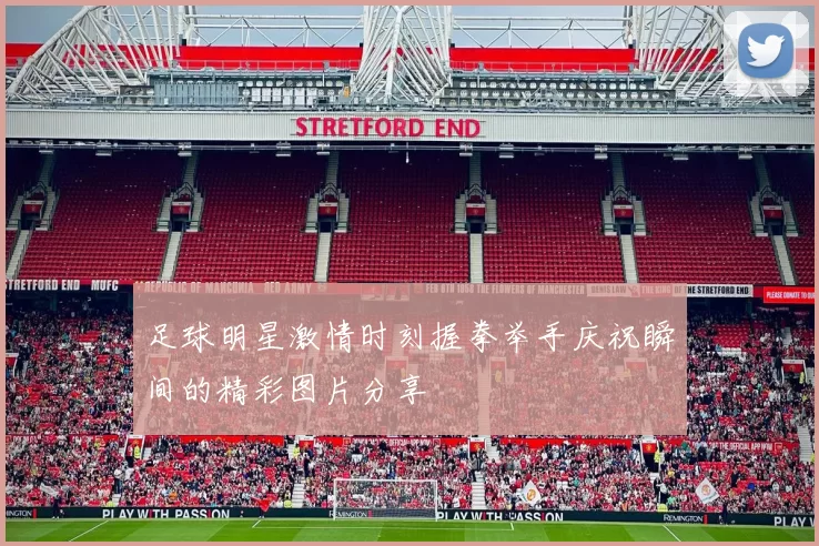 足球明星激情时刻握拳举手庆祝瞬间的精彩图片分享