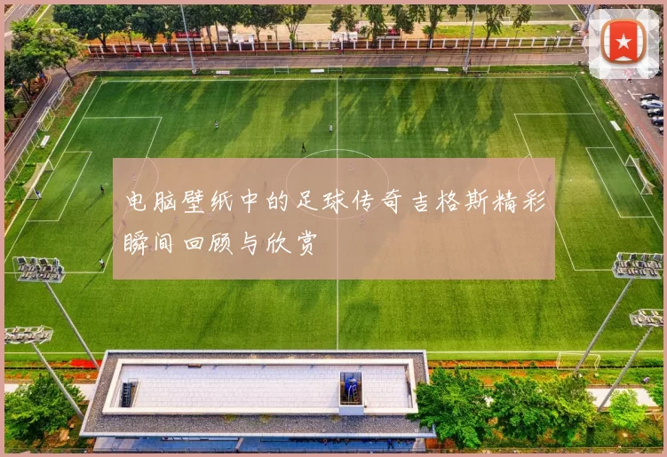 电脑壁纸中的足球传奇吉格斯精彩瞬间回顾与欣赏