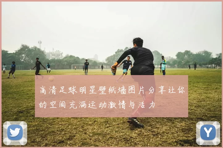 高清足球明星壁纸墙图片分享让你的空间充满运动激情与活力