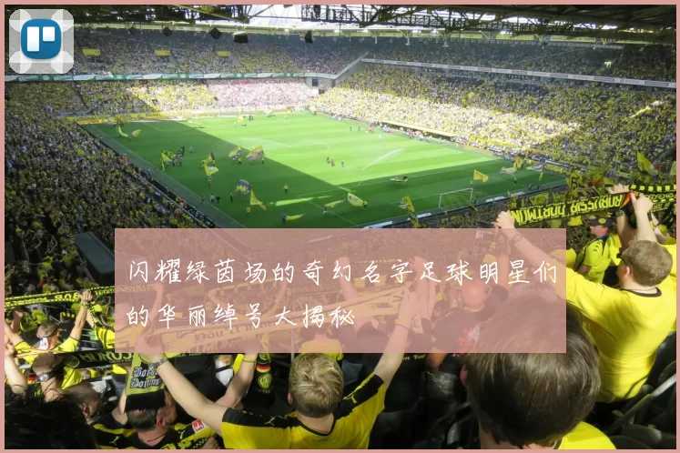 闪耀绿茵场的奇幻名字足球明星们的华丽绰号大揭秘