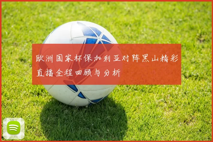欧洲国家杯保加利亚对阵黑山精彩直播全程回顾与分析
