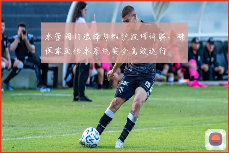 水管阀门选择与维护技巧详解，确保家庭供水系统安全高效运行
