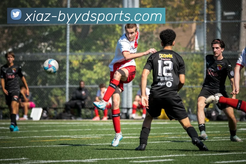 必一运动平台生态图