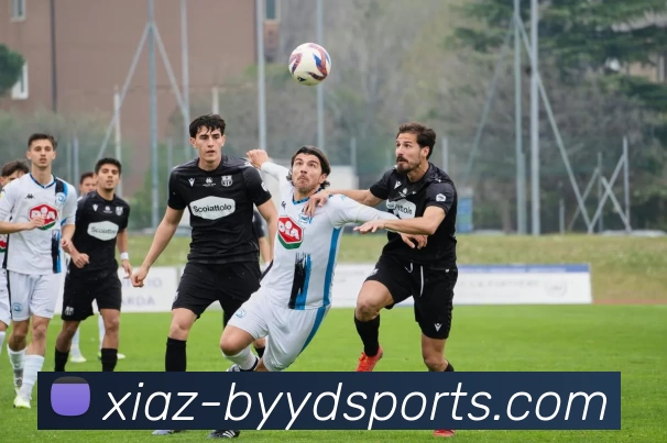 必一运动APP 封面图